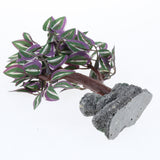 Maxbell Aquarium Ornament Aquatic Plant Decor Underwater Tree 11 Choice 623M