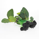 Maxbell Plastic Plant Decoration for Aquarium Fish Tank Reptile Terrarium QL03