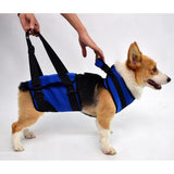Maxbell Portable Dog Lift Support Harness Dog Auxiliary Belt for Canine Aid Dog  L