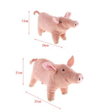 Maxbell Pig Shape Pet Dog Puppy Cotton Chew Toy Tooth Cleaning Exercise Toy Large