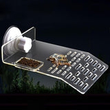 Maxbell Multifunctional Turtle Pier Basking Platform Ramp With Food Feeding bowl L