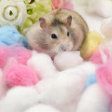 Maxbell 10 pack Cute Cartoon Small Cotton Balls for Hamster Guinea Pig Hamster blue