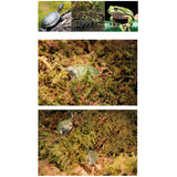 Maxbell Reptile Terrarium Bedding Substrate Dry Moss for Tortoise Dragon Gecko 1000G