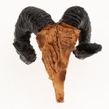 Maxbell 10xReptile Terrarium Landscaping Animal Skull DIY Aquarium Decoration Goat