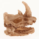 Maxbell 10xReptile Terrarium Landscaping Animal Skull DIY Aquarium Decoration Dragon