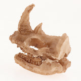 Maxbell 10xReptile Terrarium Landscaping Animal Skull DIY Aquarium Decoration Dragon