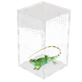 Maxbell Acrylic Reptile Breeding Container for Snails Lizard