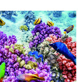 Maxbell Practical Aquarium 3D Fish Tank Background Poster Fish Background  M