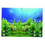 Maxbell High Definition 3D Single Adhesive Plant Fish Picture Backdrop for Aquarium XS
