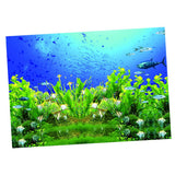 Maxbell High Definition 3D Single Adhesive Plant Fish Picture Backdrop for Aquarium M