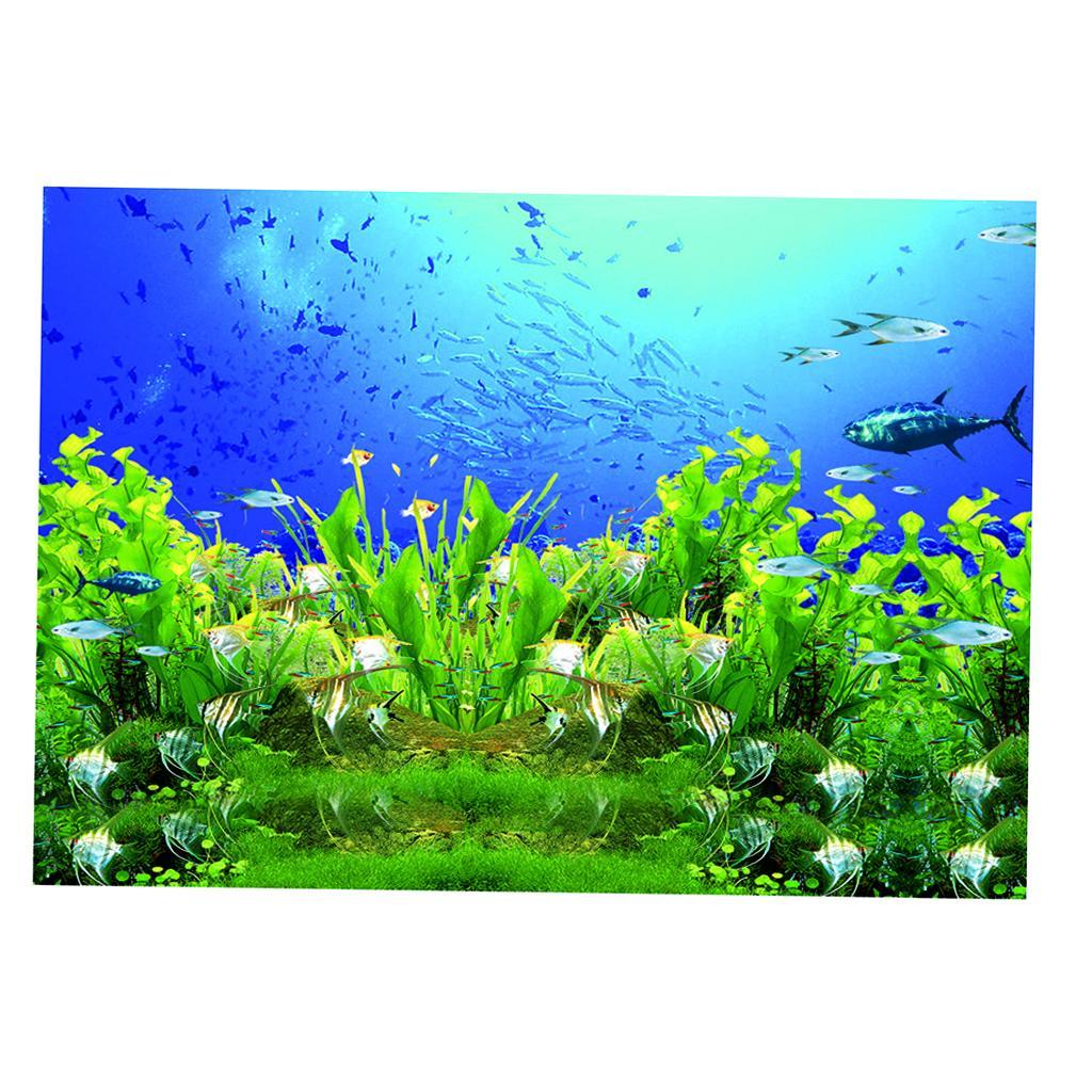 Maxbell High Definition 3D Single Adhesive Plant Fish Picture Backdrop for Aquarium XL