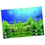 Maxbell High Definition 3D Single Adhesive Plant Fish Picture Backdrop for Aquarium XL
