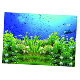 Maxbell High Definition 3D Single Adhesive Plant Fish Picture Backdrop for Aquarium XXL