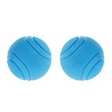 Maxbell 2Pcs Nearly Indestructible Dog Balls, Chew Fetch Play Pet Dogs Toy Blue