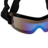 Maxbell Dog/Pet Goggles Sunglasses for UV Protection Blue