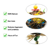 Maxbell Bird Chewing Toy for Bird Parrot Budgie Cockatiel Parakeet Cage Toy Type 3