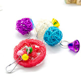 Maxbell Bird Toy Conure Foraging Hanging Toy for Small Medium Parrots  Type 3