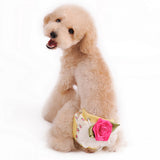 Maxbell Female Dog Physiological Shorts Menstruation Underwear Pants Nappy Beige S