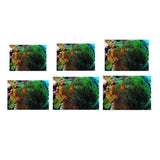 Maxbell 3D Coral Aquarium Background Sticker Fish Tank Wall Decoration Painting XS