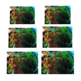 Maxbell 3D Coral Aquarium Background Sticker Fish Tank Wall Decoration Painting XS