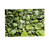 Maxbell Aquarium HD Background Sticker Fish Tank Wall Decoration Painting XXL
