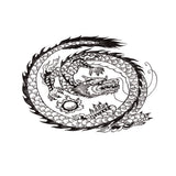 Maxbell Aquarium Background Fish Tank Reptile Vivarium Wallpaper Dragon XS