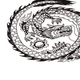 Maxbell Aquarium Background Fish Tank Reptile Vivarium Wallpaper Dragon XS