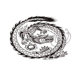 Maxbell Aquarium Background Fish Tank Reptile Vivarium Wallpaper Dragon XS