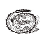 Maxbell Aquarium Background Fish Tank Reptile Vivarium Wallpaper Dragon XS