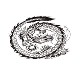 Maxbell Aquarium Background Fish Tank Reptile Vivarium Wallpaper Dragon XS