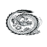 Maxbell Aquarium Background Fish Tank Reptile Vivarium Wallpaper Dragon M