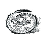 Maxbell Aquarium Background Fish Tank Reptile Vivarium Wallpaper Dragon M