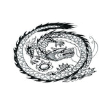 Maxbell Aquarium Background Fish Tank Reptile Vivarium Wallpaper Dragon M