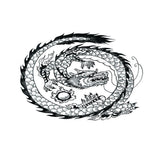 Maxbell Aquarium Background Fish Tank Reptile Vivarium Wallpaper Dragon L
