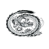 Maxbell Aquarium Background Fish Tank Reptile Vivarium Wallpaper Dragon L