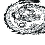 Maxbell Aquarium Background Fish Tank Reptile Vivarium Wallpaper Dragon XL