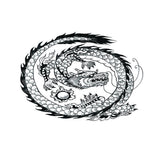 Maxbell Aquarium Background Fish Tank Reptile Vivarium Wallpaper Dragon XL