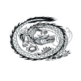 Maxbell Aquarium Background Fish Tank Reptile Vivarium Wallpaper Dragon XL