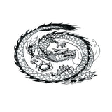 Maxbell Aquarium Background Fish Tank Reptile Vivarium Wallpaper Dragon XXL