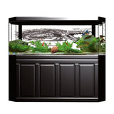 Maxbell Aquarium Background HD Picture Reptile Vivarium Wallpaper Dragon M