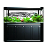 Maxbell Aquarium Background HD Picture Reptile Vivarium Wallpaper Dragon XL