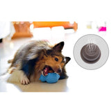 Maxbell 1 Pc Pet Dogs Puppies Chewing Little Bear Toy with Silicone Biscuits Red
