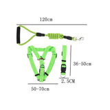 Maxbell Pet leash with chest strap collar three-piece Green L