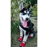 Maxbell 4 Pcs Pet Dog Shoes Boots Anti-Slip Waterproof Pet Paw Protector Dog Shoes  Red-S