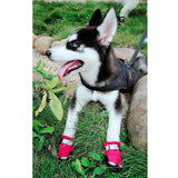 Maxbell 4 Pcs Pet Dog Shoes Boots Anti-Slip Waterproof Pet Paw Protector Dog Shoes  Red-S