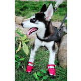 Maxbell 4 Pcs Pet Dog Shoes Boots Anti-Slip Waterproof Pet Paw Protector Dog Shoes  Red-M