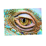 Max Aquarium Background Eye Style Poster Fish Tank Wallpaper Decoration L