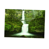 Max Fish Tank Sticker Aquarium PVC Adhesive Background Backdrop Decoration M