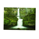 Max Fish Tank Sticker Aquarium PVC Adhesive Background Backdrop Decoration L