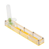 Maxbell Clear Insect Ant Housing Acrylic Nest Ant Feed Farm Formicarium Box Yellow